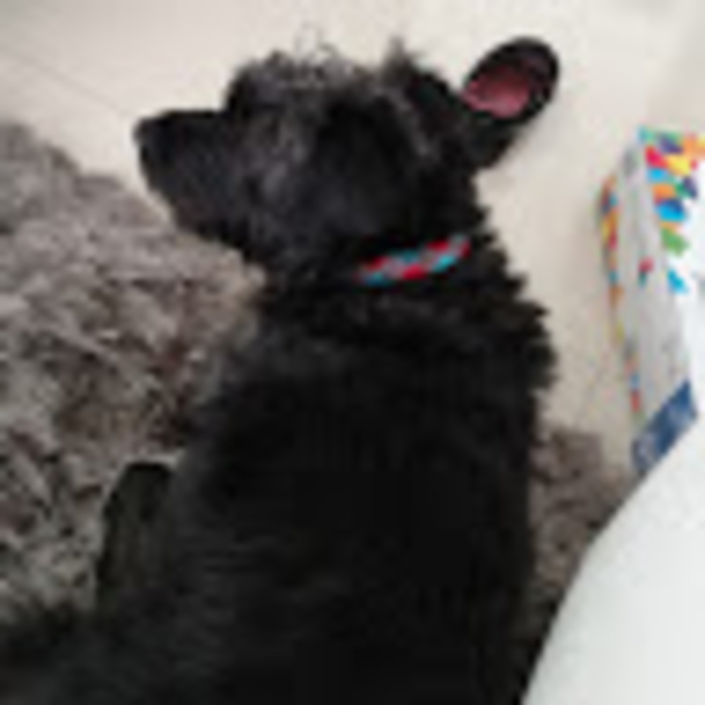 Meet your Posher, Patsy